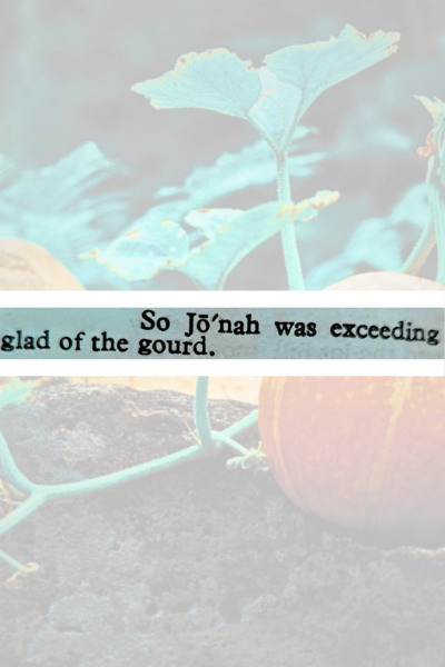 Glad of the Gourd interior preview